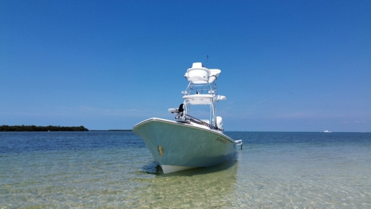 Powers Gause Built 26'